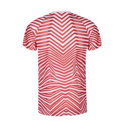 Camiseta Adulto Tecnic Tingyi