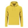 Sudadera Adulto Draco
