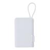 Power Bank Brandin
