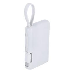 Power Bank Brandin