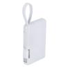 Power Bank Brandin
