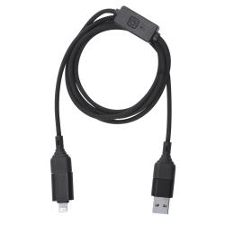 Cable Protección Piratería Gabbo