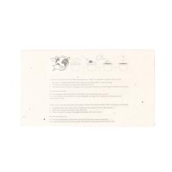 Caja Ceras Semillas Fyser