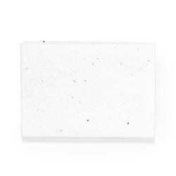 Bloc Notas Semillas Albot